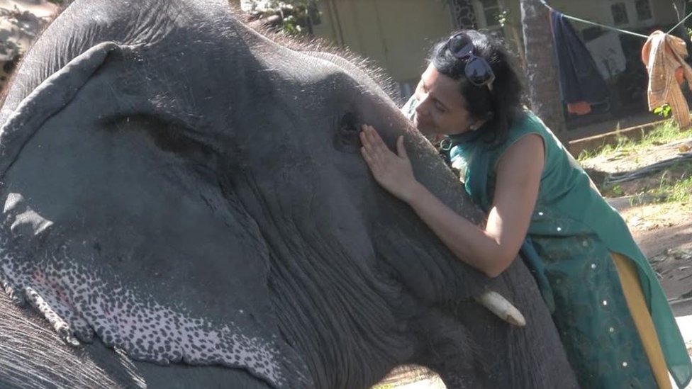 Sangita bonding with captive elephant Lakshmi
