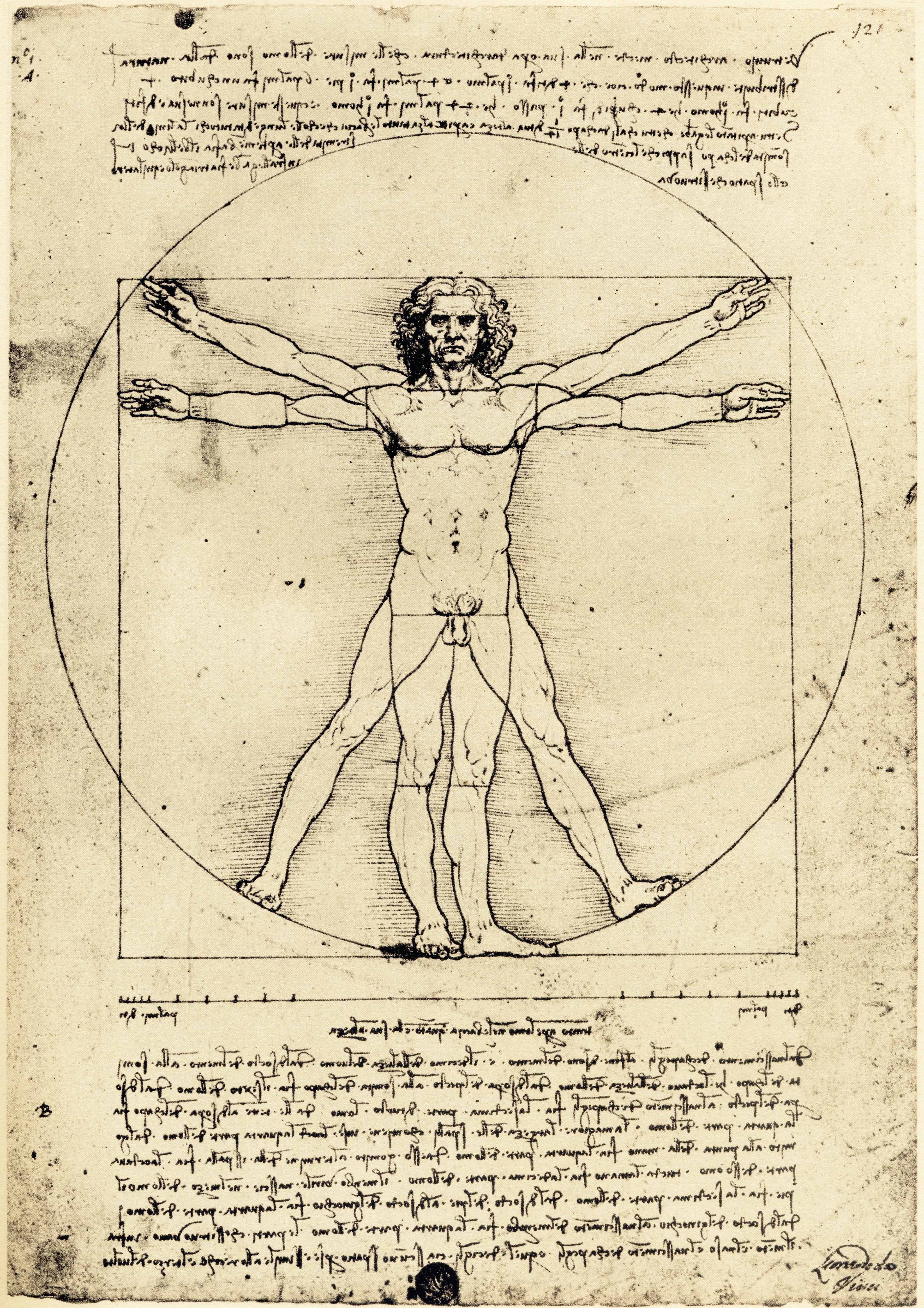 El hombre de Vitruvio de Leonardo da Vinci