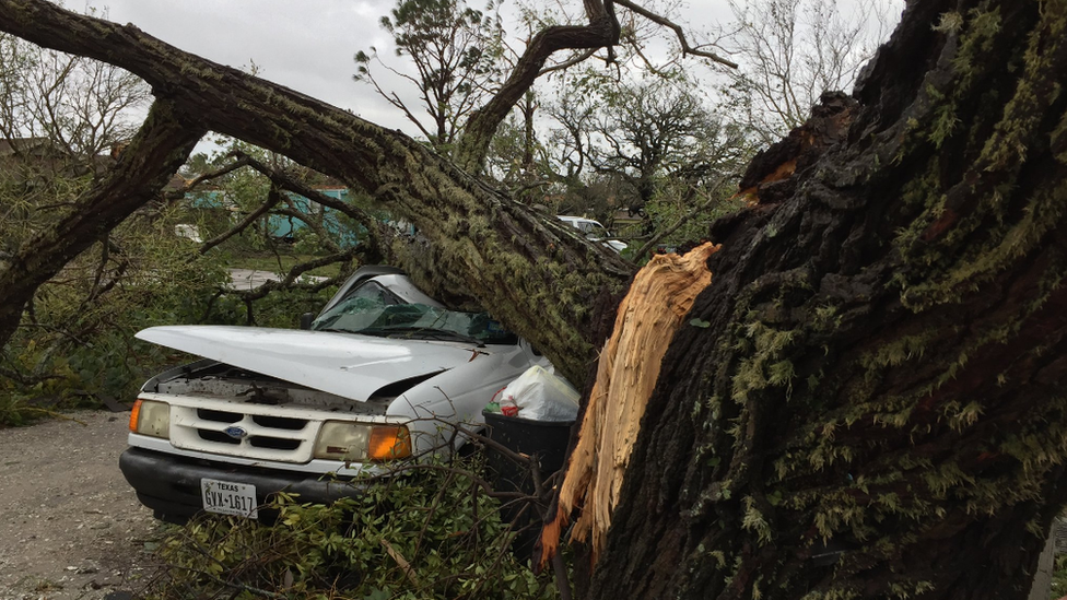 Harvey está causando numerosos daños materiales en Texas. Un árbol caído aplasta un auto.