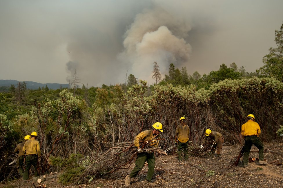 Bomberos crean una zona de despeje en el bosque nacional de Stanislaus, cerca del parque Yosemite, en California el 21 de julio de 2018
