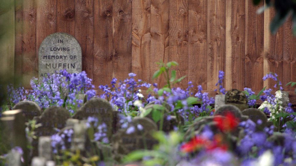 Groblje za kućne ljubimce postoji u londonskom Hajd parku