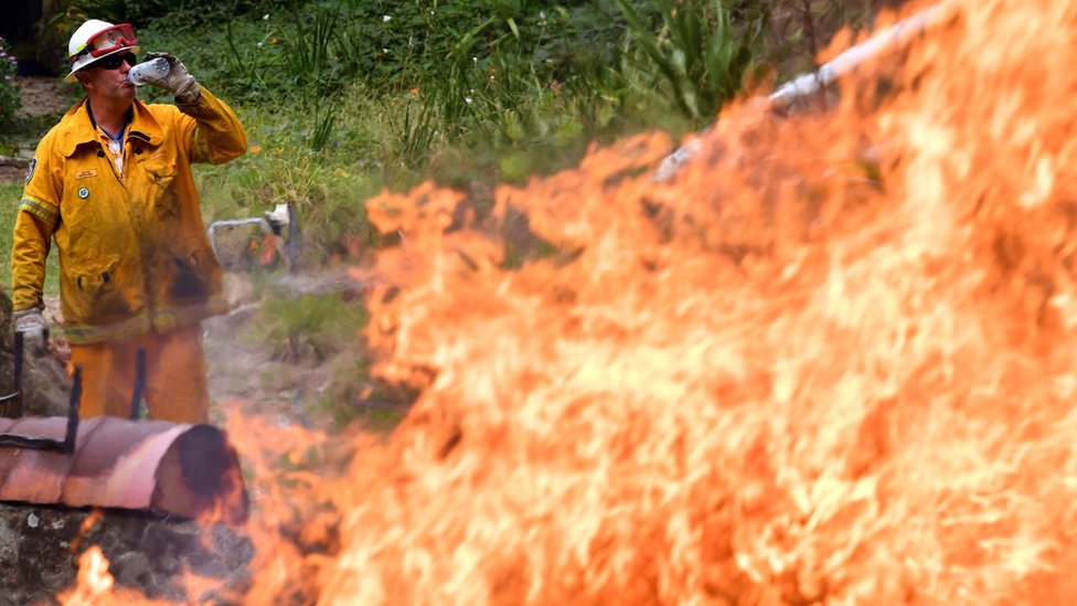 Пожарный пьет воду на фоне бушующего лесного пожара к северу от Сиднея в понедельник