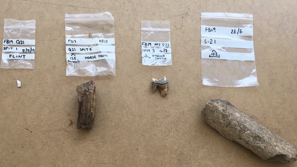 Также были обнаружены зубы и кости других существ