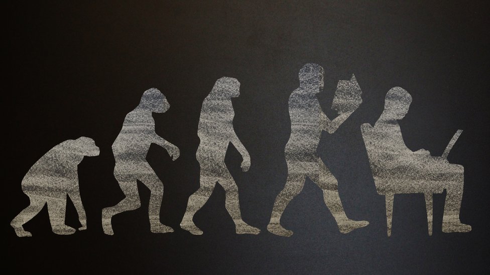 İnsan evrimi