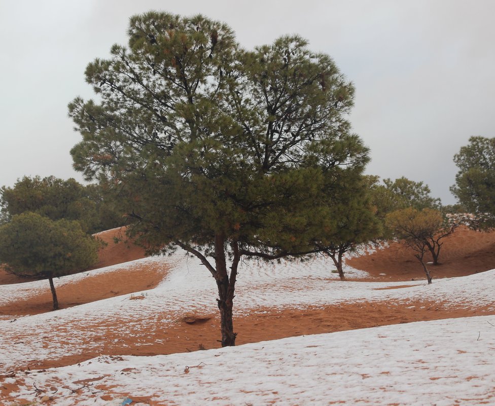 Salju turun di Gurun Sahara dekat Mekalis, Aljazair, pada 6 Januari lalu.