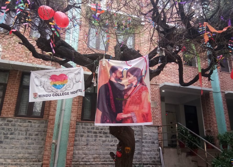 شجرة العذرية عام 2019