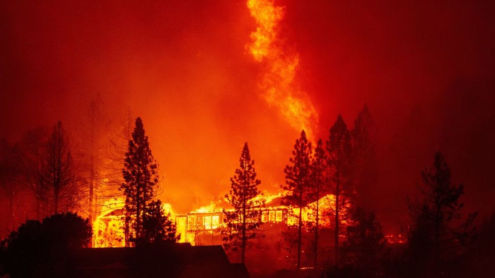 حرائق غابات كاليفورنيا