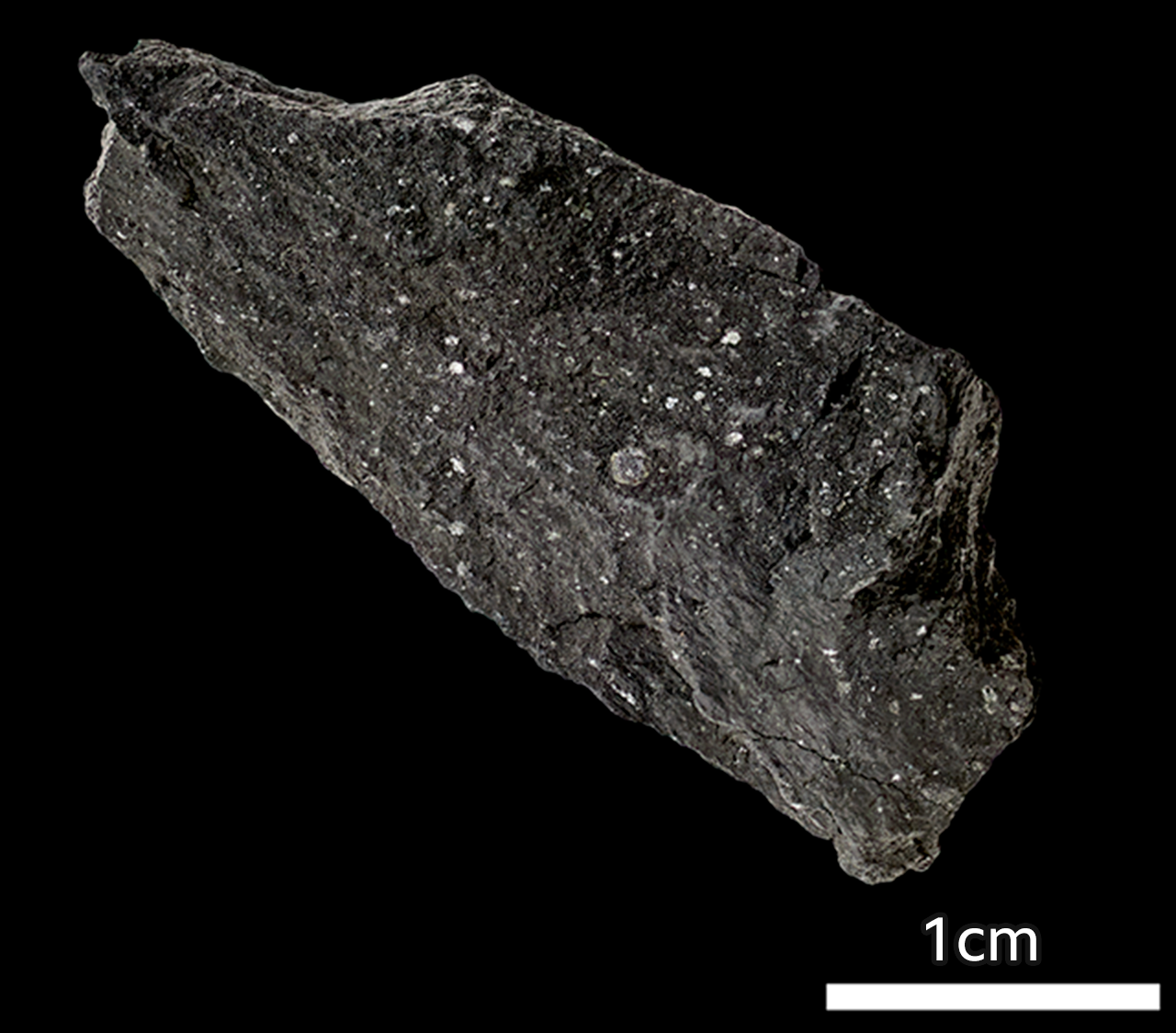 Meteorito de Winchcombe