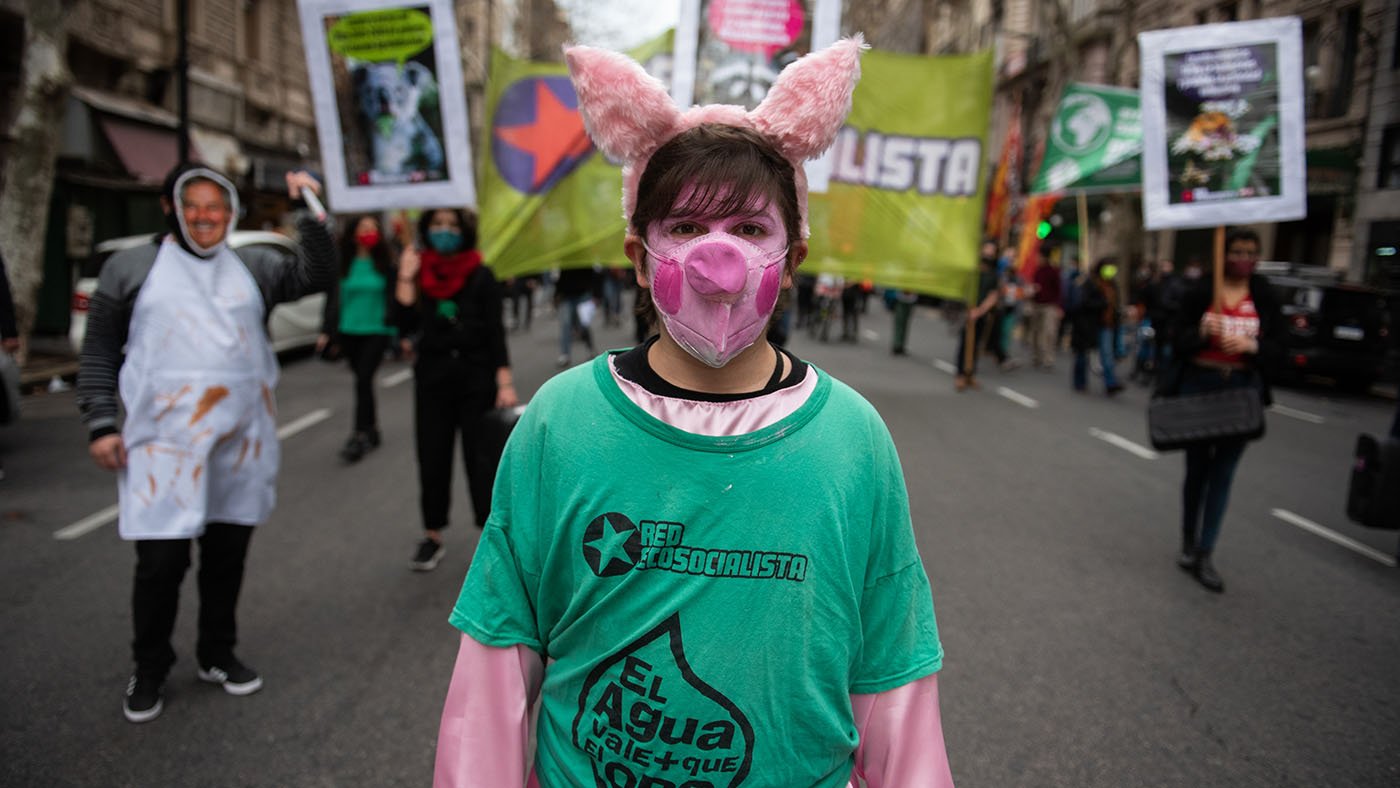 連日來，阿根廷多個城市都爆發了反對與中國簽訂豬肉生產協議的抗議。