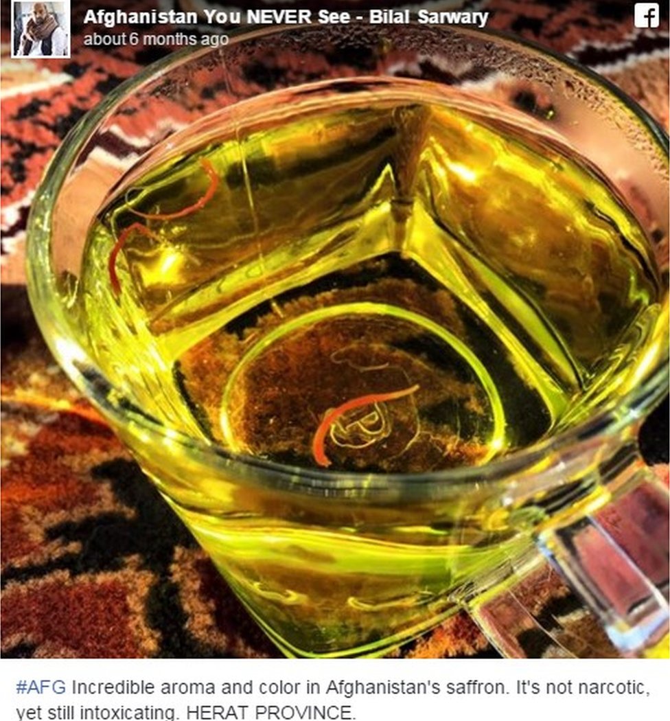 Чашка горячей воды желтого цвета с афганским шафраном - текст гласит: «У афганского шафрана невероятный аромат и цвет. Он не наркотический, но все же опьяняет».