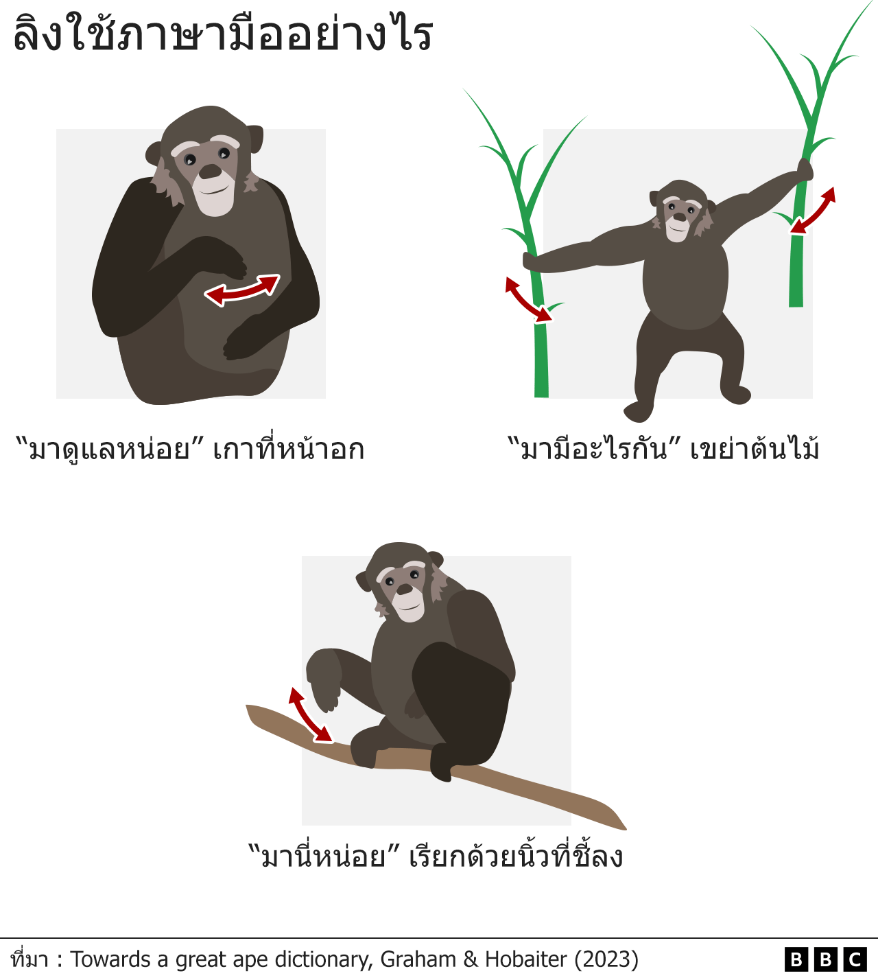 ภาษาลิง