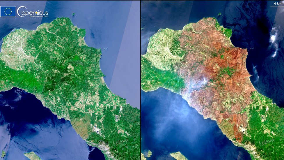 Yunanistan'da orman yangınları telaşı: Akdeniz kıyılarının yeni normali olabilir