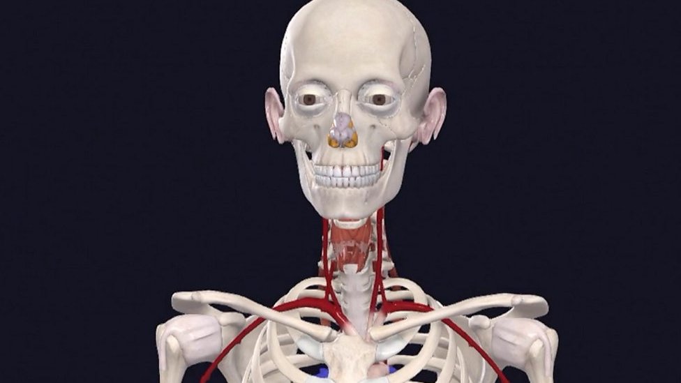 New 3D female anatomy model used to better treat women