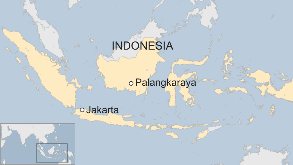 Indonesia's planning minister announces capital city move - BBC News