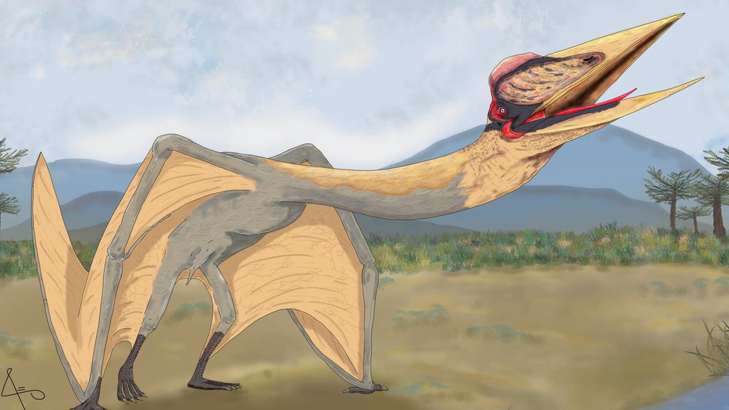 Fossil of giant flying reptile discovered in Scotland