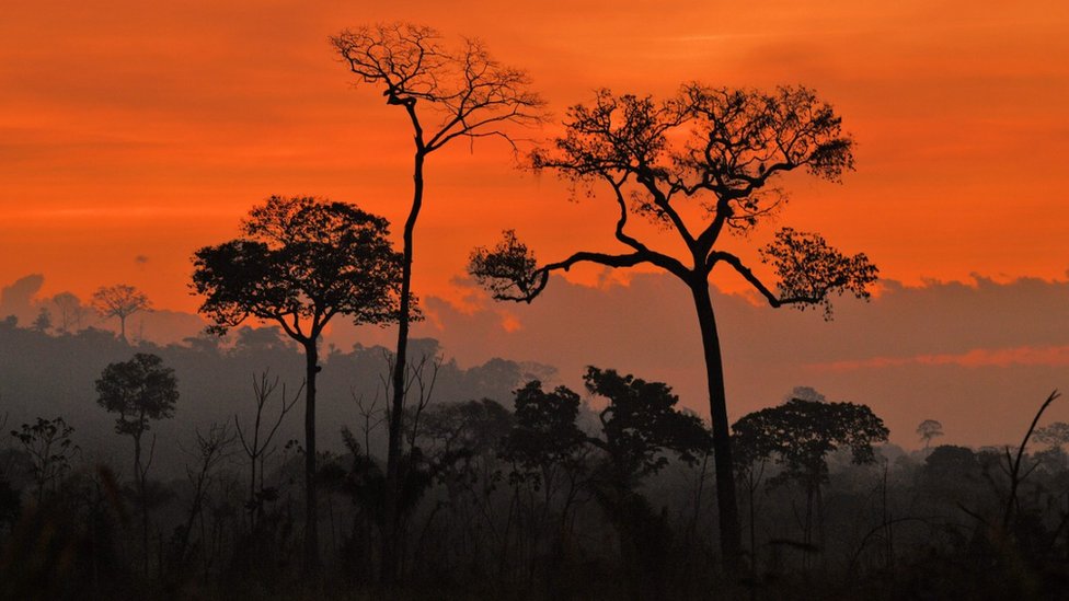 Sunset in the Amazon region
