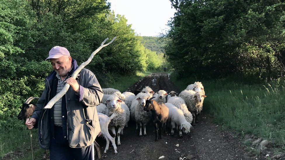 Pastir iz pirotskog kraja