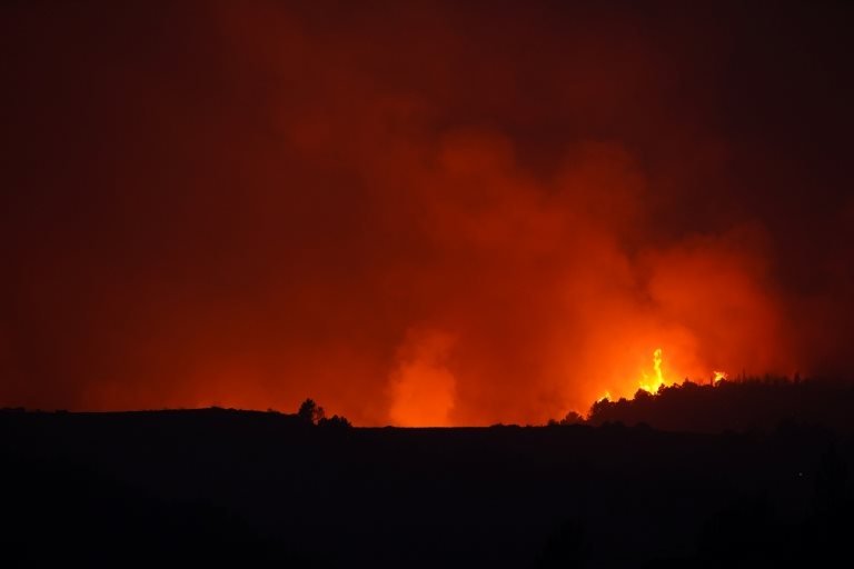 İtalya'da orman yangınları: 3 kişi hayatını kaybetti, Calabria yönetimi bölge için OHAL istedi