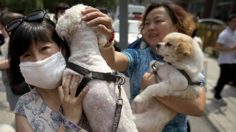 Where Is The Yulin Dog Festival Held