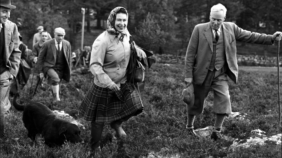 Queen Elizabeth II with her dog 'Wren' at the Open Stake Retriever Trials at Balmoral. 6 October 1967