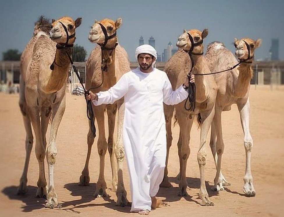 Identity 2016: Camel racing, a market worth millions - BBC ...