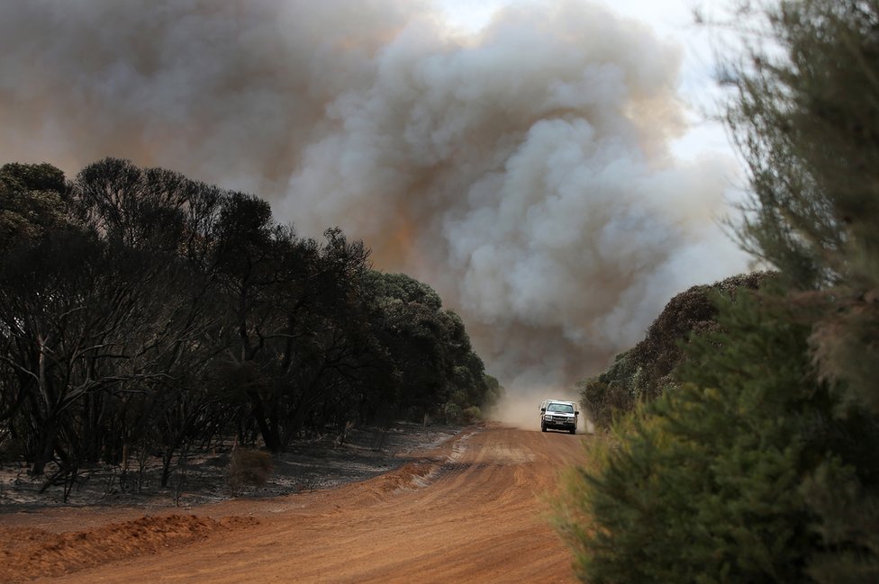 ਆਸਟਰੇਲੀਆ ਦੇ ਜੰਗਲਾਂ ਦੀ ਅੱਗ Australia bushfires