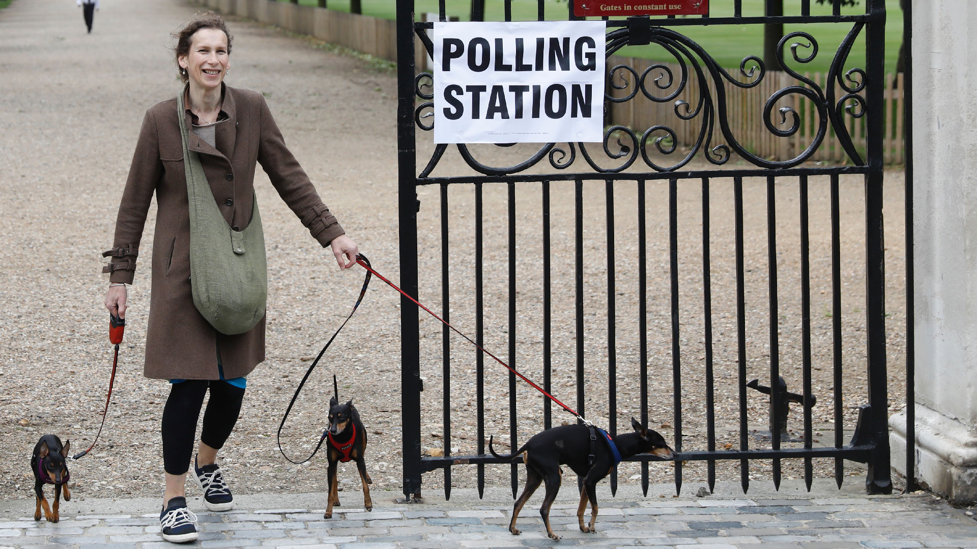 Женщина с собаками на избирательном участке