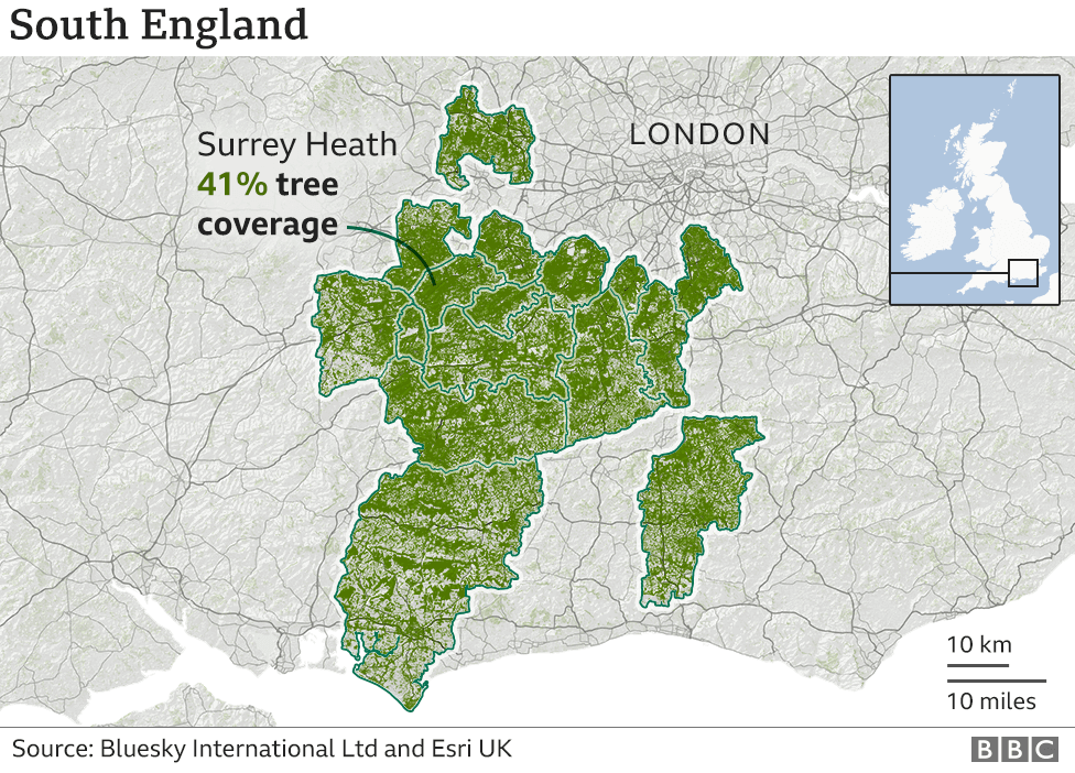 A graphic showing tree cover in the south of England. The highest place is Surrey Heath. Many of the other places in the top 20 surround this area.