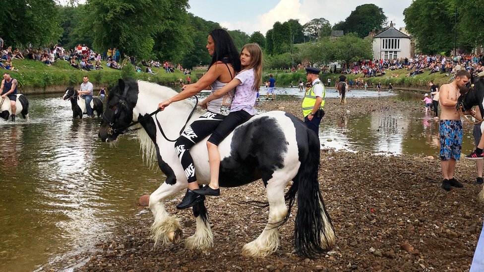 Девушки катаются на лошади в реку