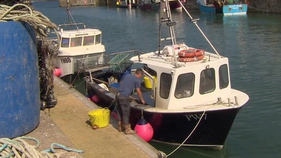 Cornwall fisherman questions 'absurd' tracking system for small boats