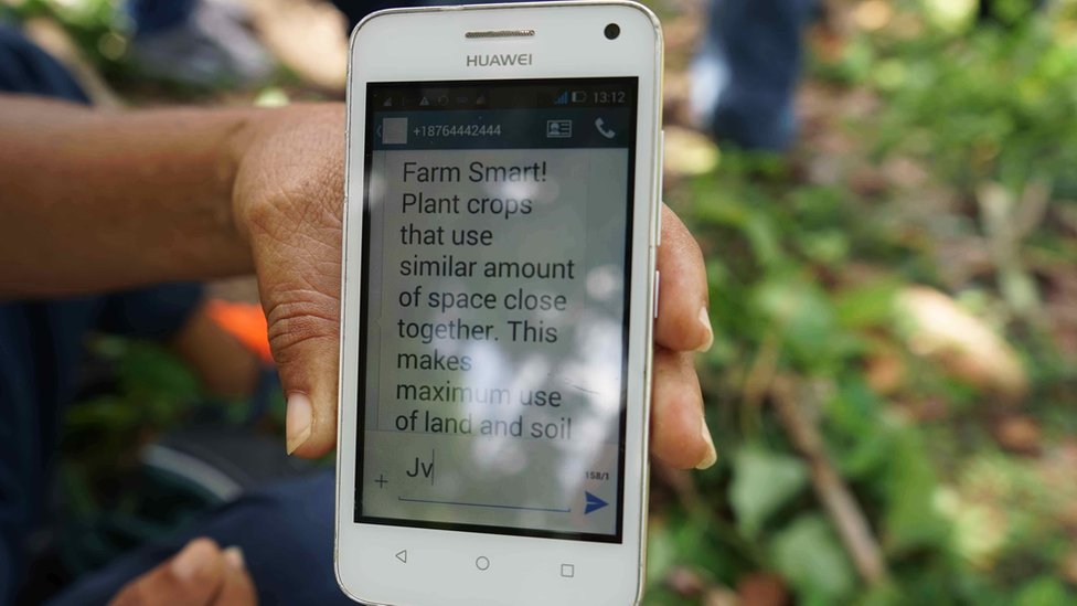 Крупный план телефона с сообщением, в котором фермерам рассказывается, как сажать урожай