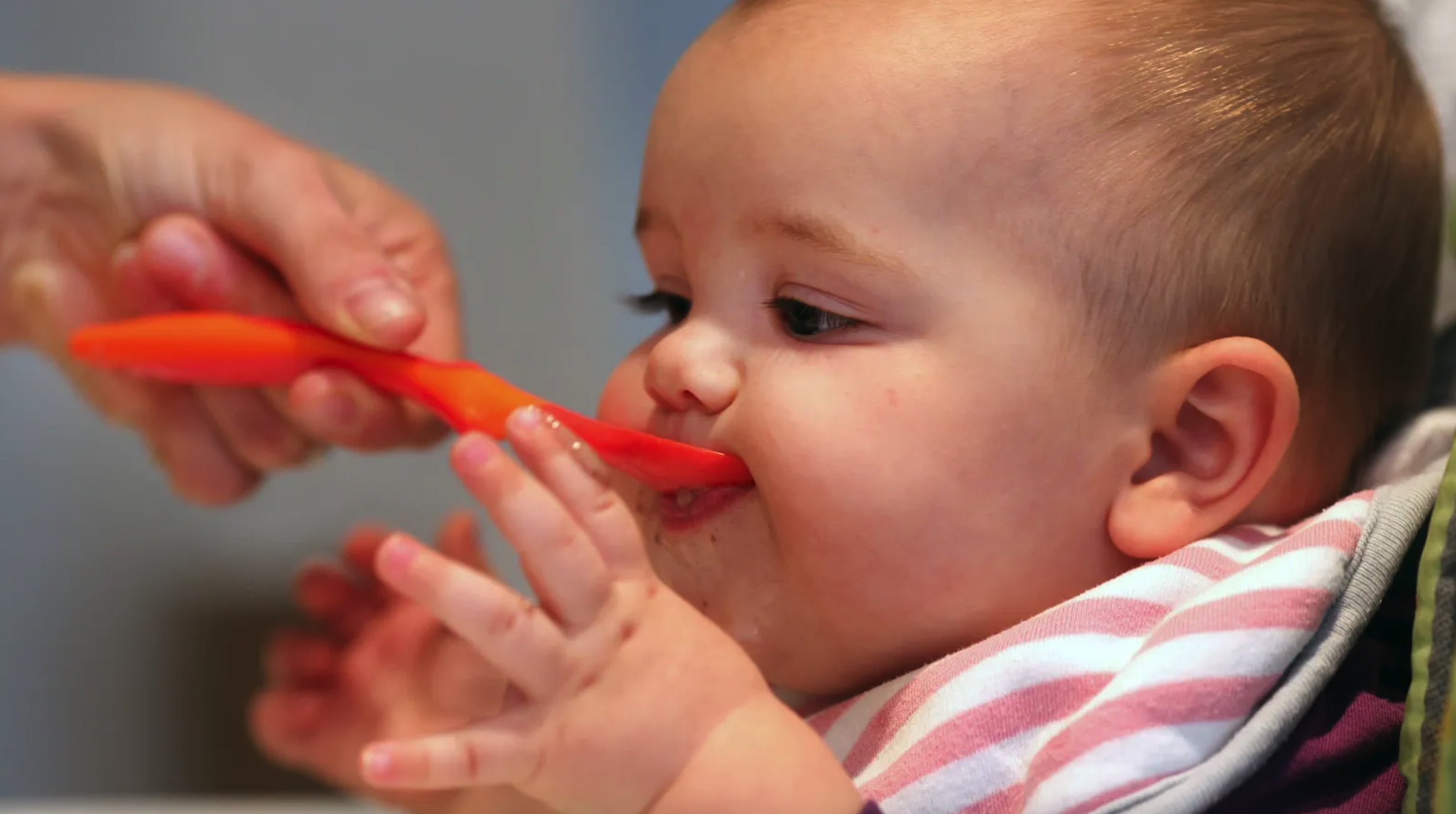 Acredita-se que fornecer ao bebê alimentos diferentes durante o seu primeiro ano de vida ajuda a evitar alergias