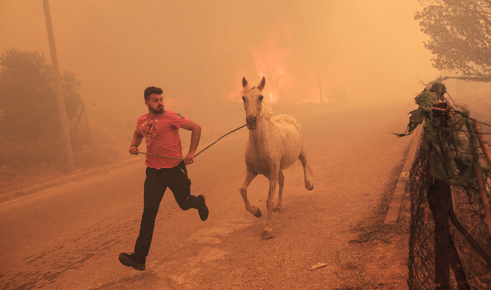 A farmer rushes to evacuate his horse during a wildfire at the area of Fyli near Athens, Greece - 22 August 2023