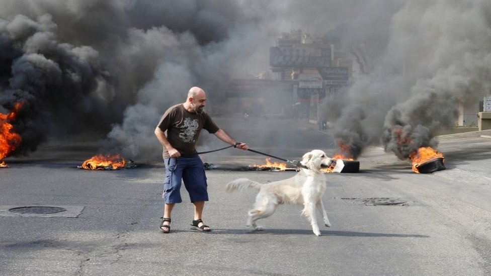 Протестующий и его собака стоят перед огнем