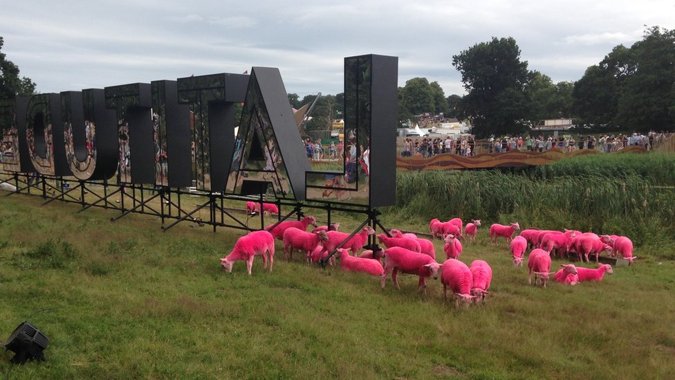 Розовая овечка на фестивале Latitude