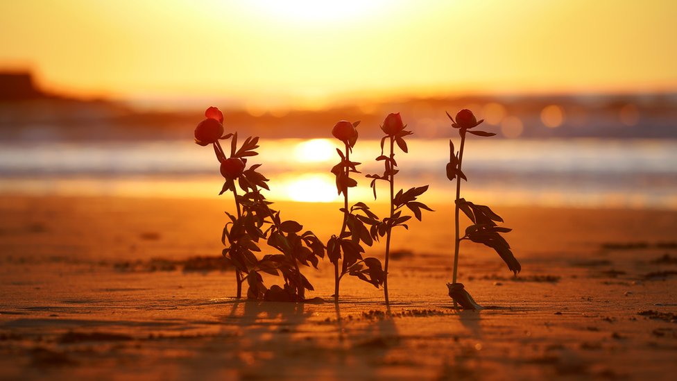 Цветы на пляже для пятерых погибших