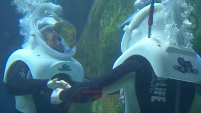 otteroo shark tank