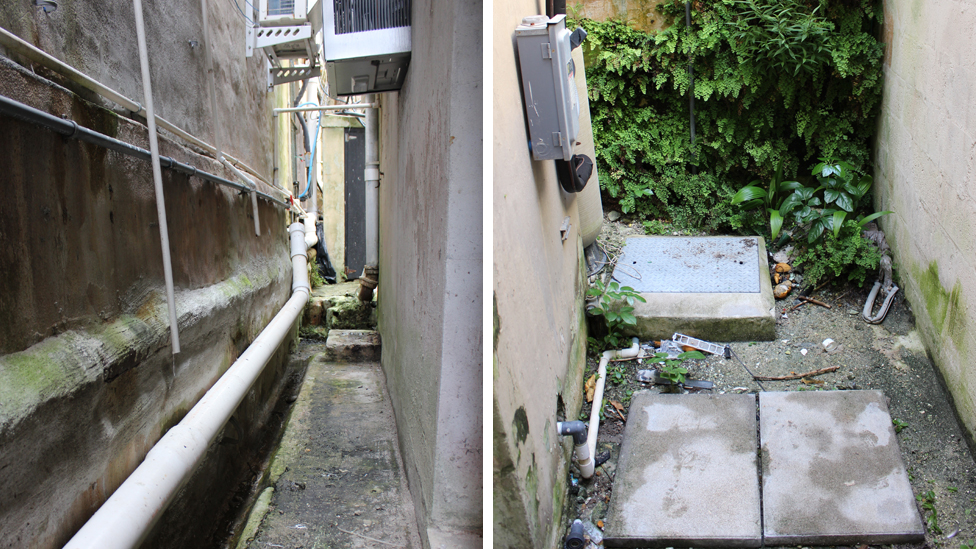 The alleyway where the snails were rediscovered