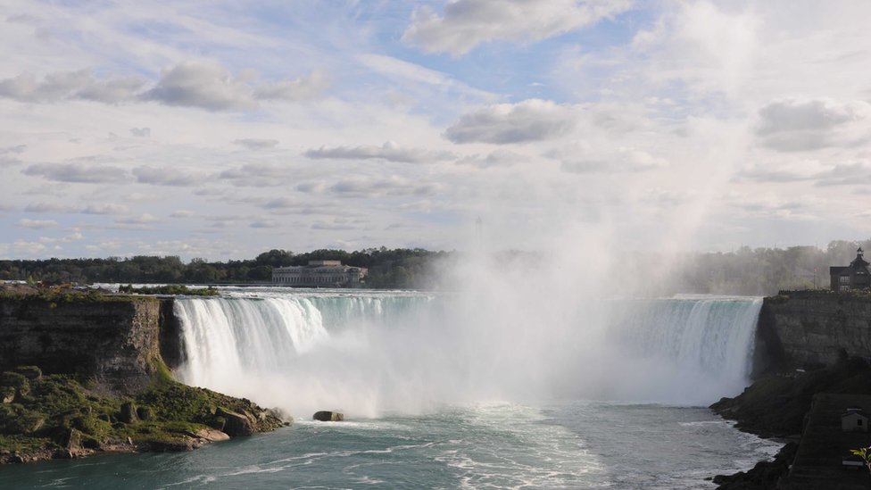 Catarctagenitus. Catarctagenitus.