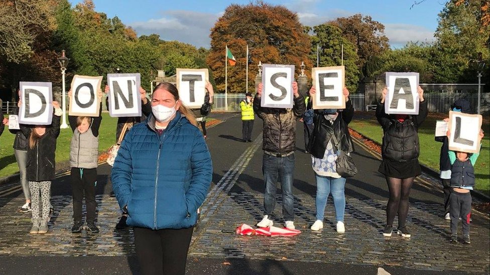 Участники кампании провели акцию протеста в Дублине по поводу будущего доступа к записям комиссии