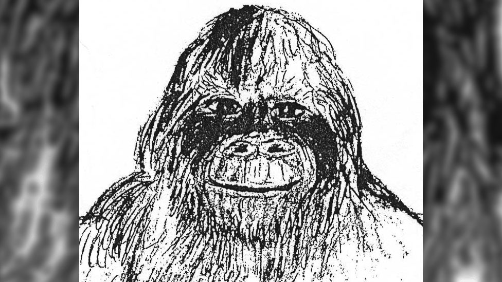 Home & Living Sasquatch Drawing titled ‘Uncertain’ Wall Hangings Wall