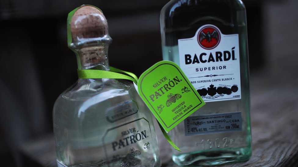 Bacardí Tequila Pal Norte 2025 Bacardí Tequila Pal Norte 2025 Bacardi Receives The Official