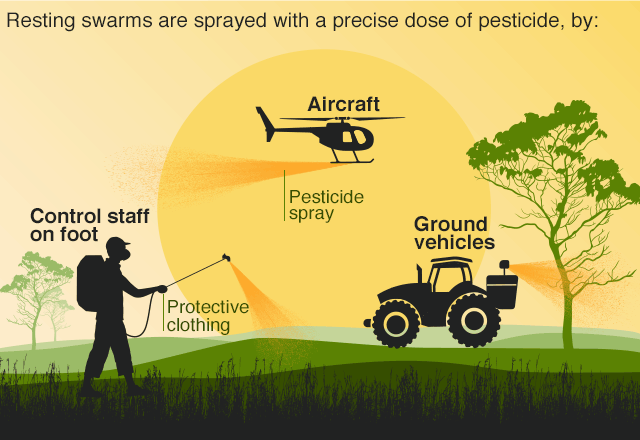 Изображение пестицидов