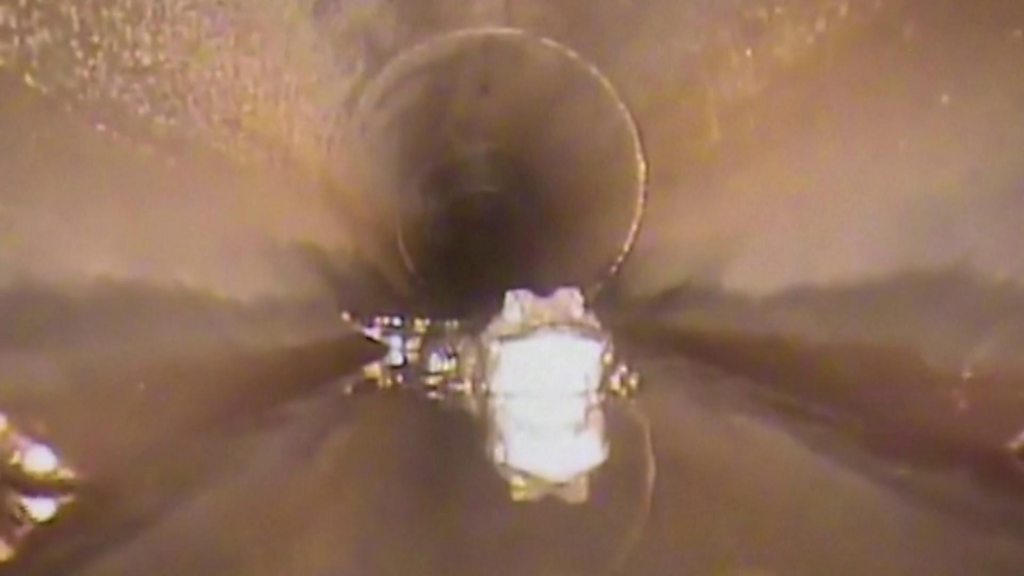 Robot camera spies scaly guest in Florida water pipe