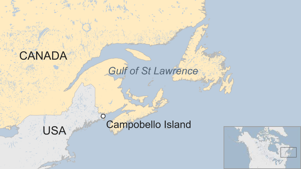 Карта, показывающая остров Кампобелло относительно границы между США и Канадой и заливом Святого Лаврентия