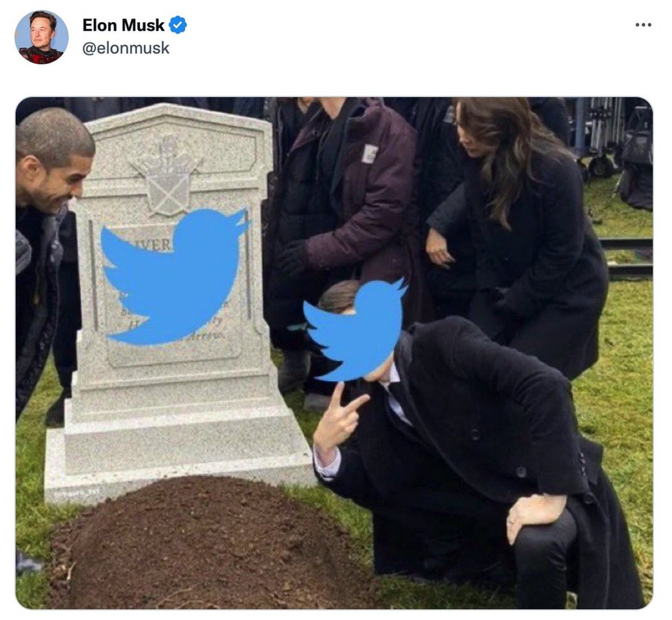 Meme de homem sorrindo do lado de túmulo, com pássaros do Twitter na frente do rosto dele e da lápide