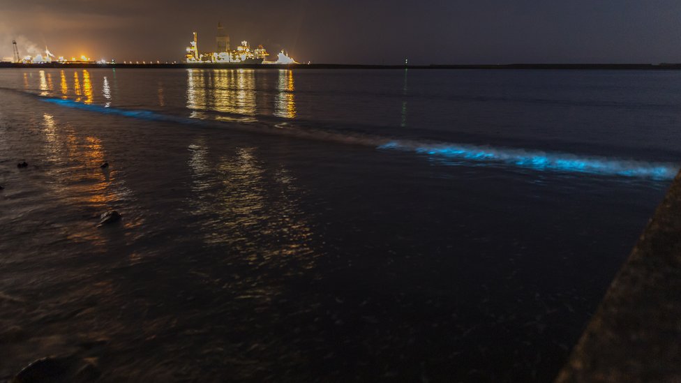 Биолюминесцентный планктон у пляжа Аберавон