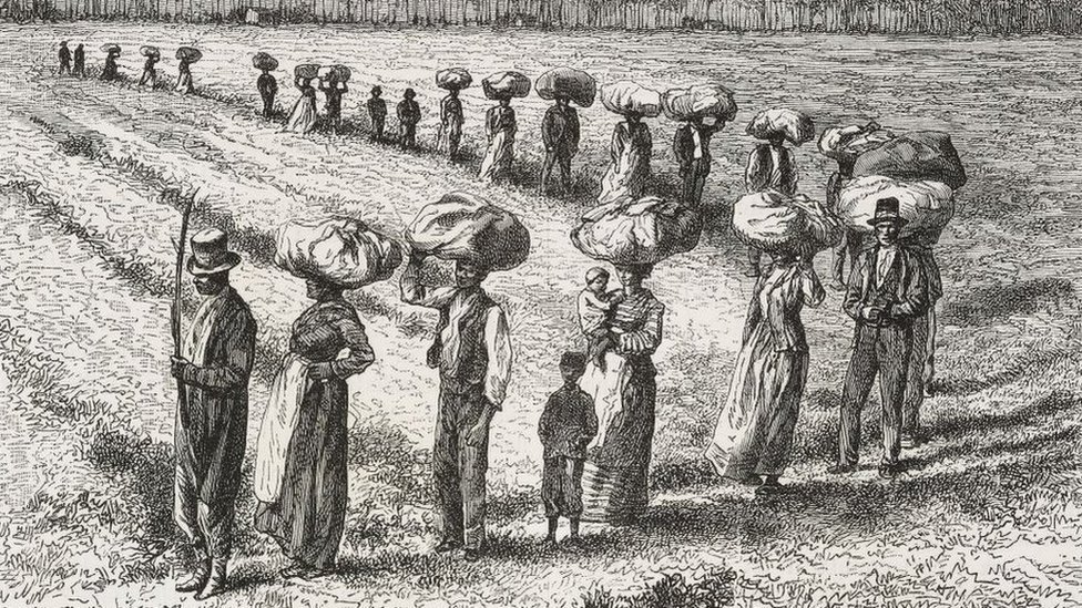Урожай на хлопковых полях в Джорджии, Соединенные Штаты Америки, рисунок Эдуарда Риу (1833-1900)