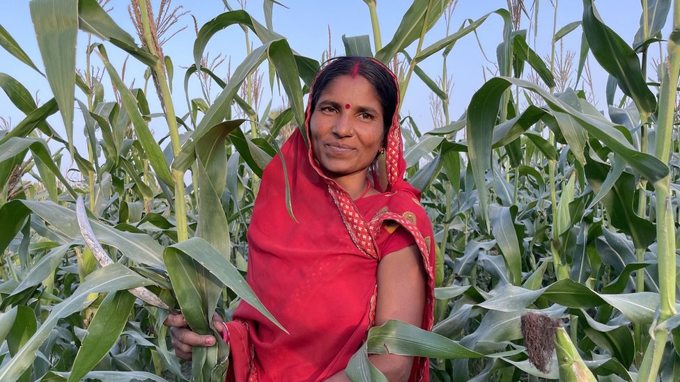Newj Lend Wwwsexy Video - Women lead Indian families as men migrate - BBC News