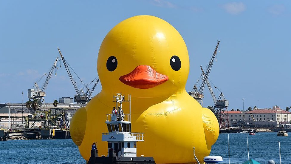 rubber duck price
